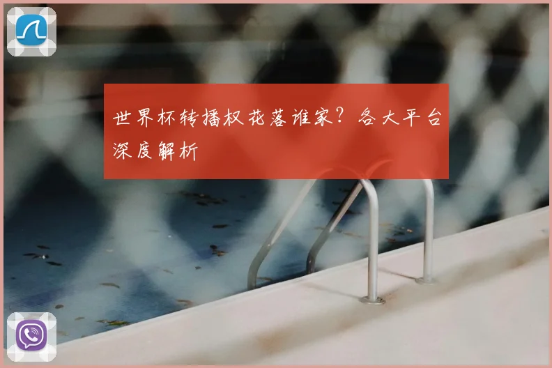 世界杯转播权花落谁家？各大平台深度解析