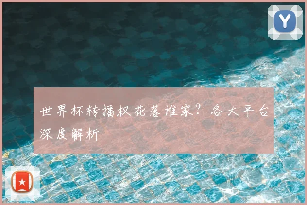世界杯转播权花落谁家？各大平台深度解析