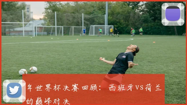 年世界杯决赛回顾：西班牙vs荷兰的巅峰对决
